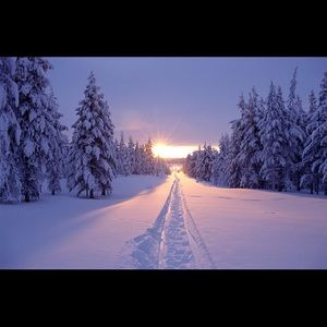 Meet your Posher, Darcel